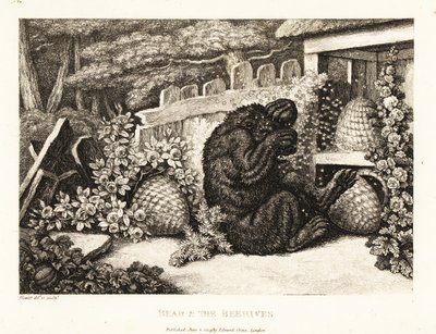 Un oso pardo atacado por un ejército de abejas. 1811 (grabado) de Samuel Howitt