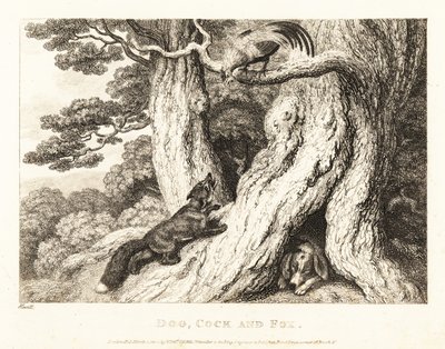 Un gallo en un árbol burla a un zorro, mientras un perro duerme. 1811 (grabado) de Samuel Howitt