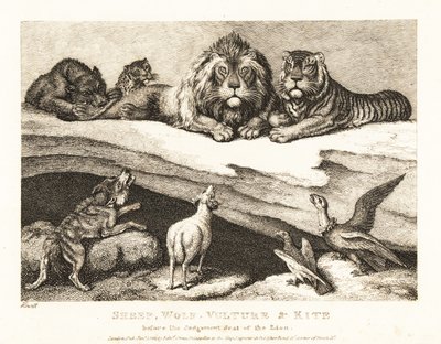 Un juicio entre animales, con el león y el tigre como jueces. 1811 (grabado) de Samuel Howitt