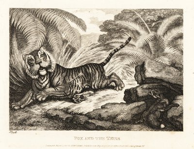 Un zorro observa a un tigre herido. 1811 (grabado) de Samuel Howitt