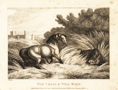 Un caballo y un jabalí se enfrentan en un pasto. 1811 (grabado) de Samuel Howitt