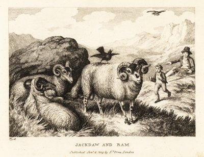 Un grajo canta sobre el lomo de un carnero. 1811 (grabado) de Samuel Howitt
