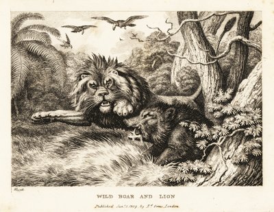 Un león y un jabalí se pelean mientras los buitres circulan por encima. 1811 (grabado) de Samuel Howitt