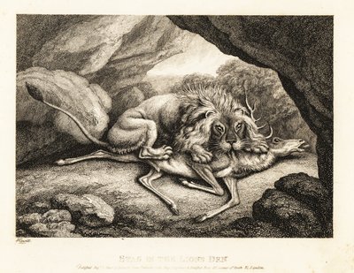 Un león comiendo el cadáver de un ciervo en una cueva. 1811 (grabado) de Samuel Howitt