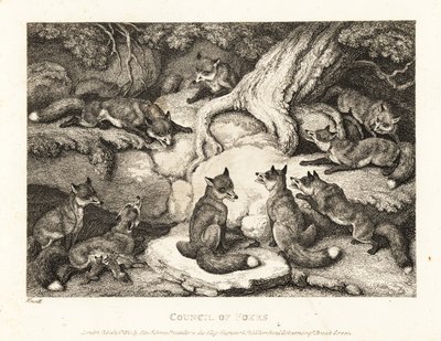 Una manada de zorros reunida en un bosque. 1811 (grabado) de Samuel Howitt