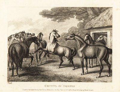 Un joven potro intenta provocar un motín en los establos. 1811 (grabado) de Samuel Howitt