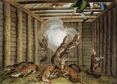 Anécdota americana: Disparando a los lobos, grabado por Matthew Dubourg (fl.1785-1820) y el artista, publicado por Edward Orme, 1813 de Samuel Howitt