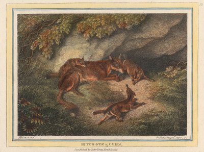 Zorra y cachorros de Samuel Howitt