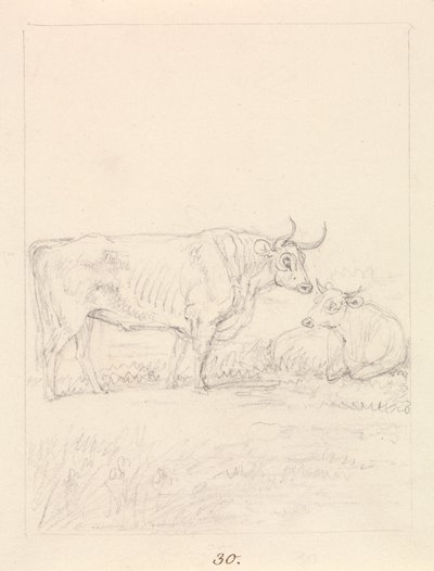 Toro y vaca de Samuel Howitt