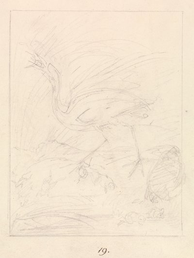 Grullas y ranas de Samuel Howitt