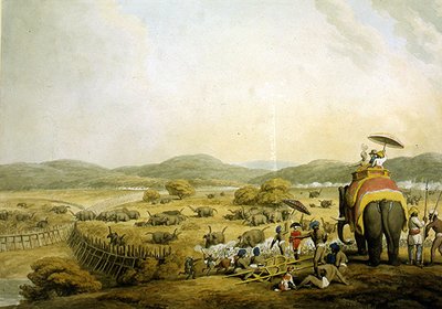Conduciendo Elefantes a un Keddah de Samuel Howitt