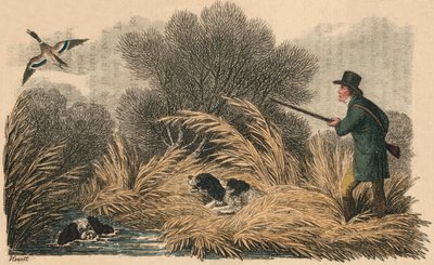 Caza de patos, 1810 de Samuel Howitt
