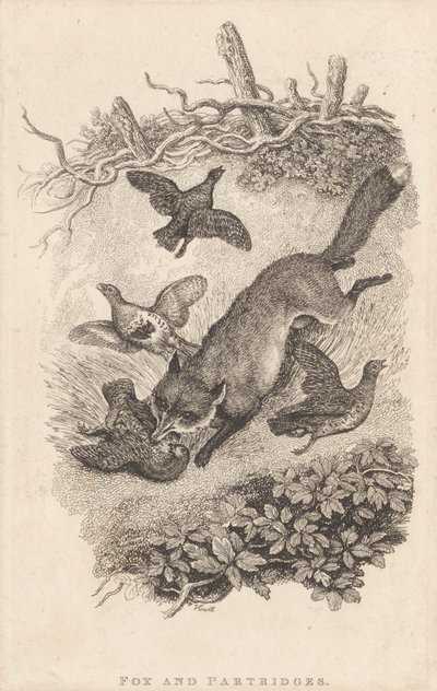 Zorro y perdices de Samuel Howitt