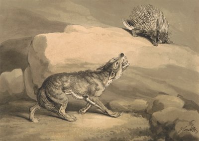 El zorro y el erizo (Puercoespín) de Samuel Howitt