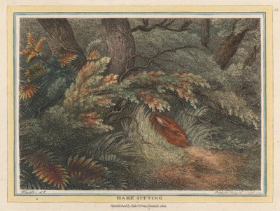 Sentada de liebre de Samuel Howitt
