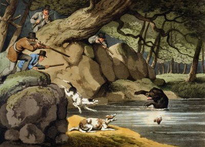 Caza de osos en América del Norte, grabado por Matthew Dubourg, publicado por Edward Orme, 1813 de Samuel Howitt