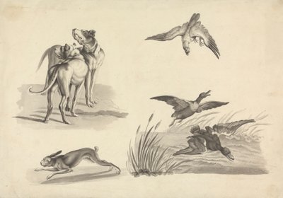 Hoja de Estudios de Lebreles, Liebres, Halcones y Patos de Samuel Howitt