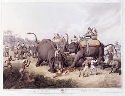 El tigre muerto; Mort du tigre, 1807 de Samuel Howitt