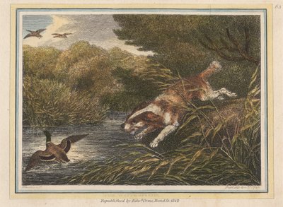 El perro de aguas de Samuel Howitt