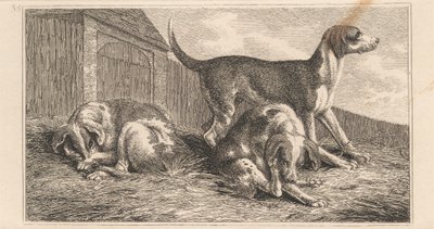 Tres perros de Samuel Howitt