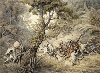 Tigre atacando un tren de ganado de Samuel Howitt