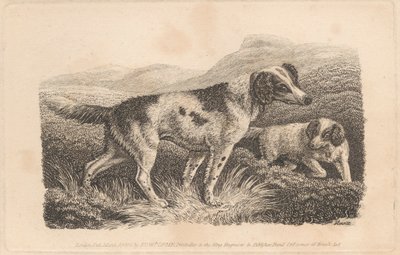 Dos perros de Samuel Howitt