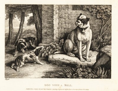 Dos spaniels ladrando a un bulldog con un cascabel en el cuello. 1811 (grabado) de Samuel Howitt