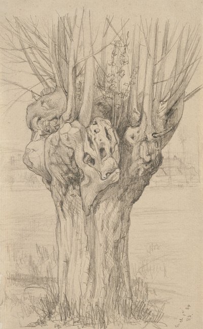 Árbol retorcido, 1884 de Samuel Isham