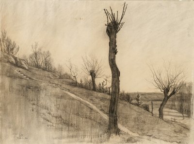 Paisaje de finales de invierno, 1884 de Samuel Isham