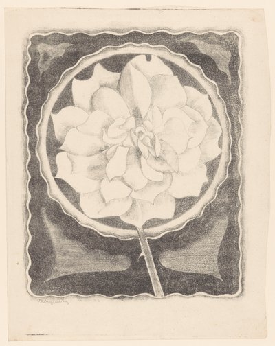Rosa (en círculo, con borde ondulado) de Samuel Jessurun de Mesquita (signed by artist)