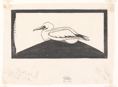 Gannet de Samuel Jessurun de Mesquita