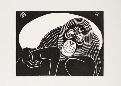 Orangután de Samuel Jessurun de Mesquita