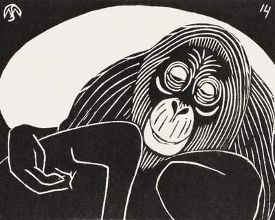Orangután de Samuel Jessurun de Mesquita