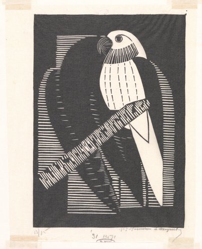 Perico (periquitos) de Samuel Jessurun de Mesquita