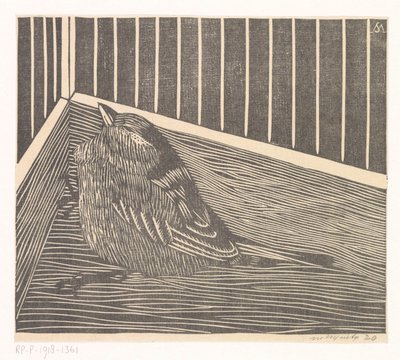 Pájaro en la esquina de una jaula de Samuel Jessurun de Mesquita