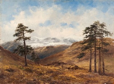 Cerca de Balmoral, 1893 de Samuel John Barnes