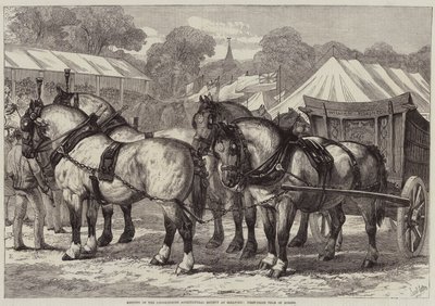 Reunión de la Sociedad Agrícola de Lincolnshire en Sleaford, equipo de caballos ganador del primer premio de Samuel John Carter