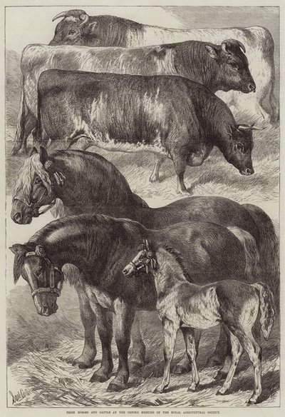 Caballos y Ganado Premiados en la Reunión de Oxford de la Real Sociedad Agrícola de Samuel John Carter