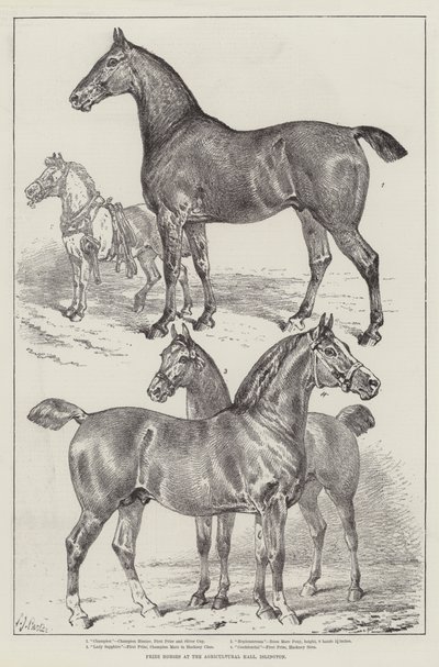 Caballos premiados en el Agricultural Hall, Islington de Samuel John Carter