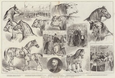 Bocetos en la reunión de la Sociedad Agrícola Real en Norwich de Samuel John Carter