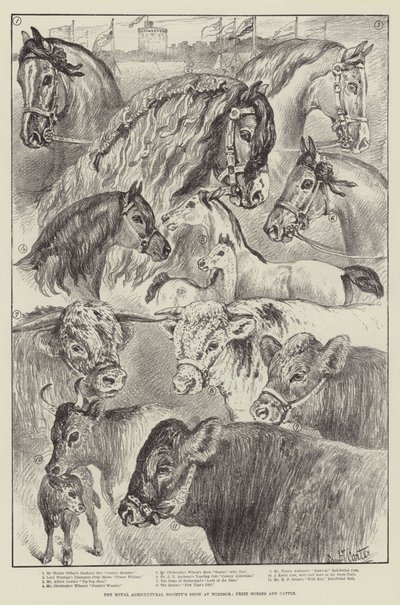 Exposición de la Sociedad Real de Agricultura en Windsor, Caballos y Ganado Premiados de Samuel John Carter