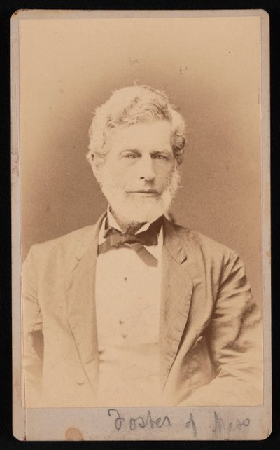 Retrato del Sr. Foster de Massachusetts, entre 1876 y 1880 de Samuel Montague Fassett