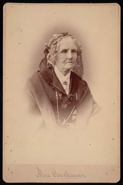 Retrato de la Sra. Buchanan, 1875 de Samuel Montague Fassett