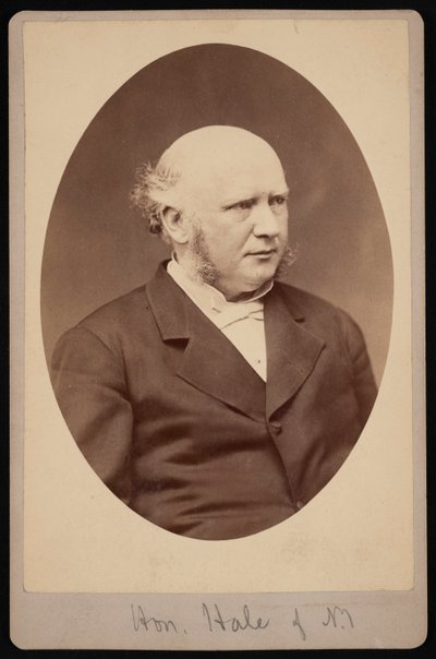 Retrato de Robert Safford Hale 1822-1881, antes de 1881 de Samuel Montague Fassett