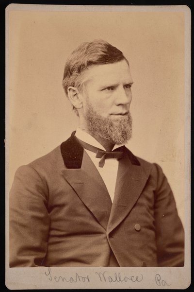 Retrato de William Andrew Wallace 1827-1896, entre 1876 y 1880 de Samuel Montague Fassett