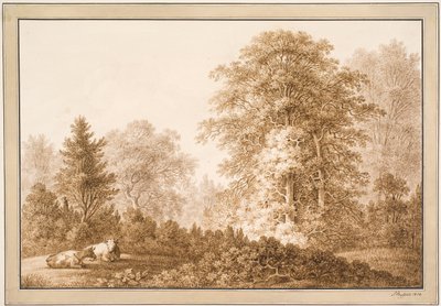 Paisaje forestal con dos vacas acostadas de Samuel Mygind