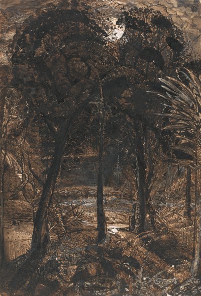 Una escena a la luz de la luna con un río serpenteante de Samuel Palmer