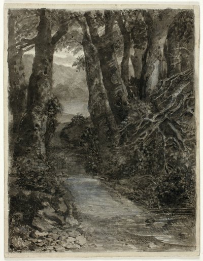 Estudio de un bosque de Samuel Palmer