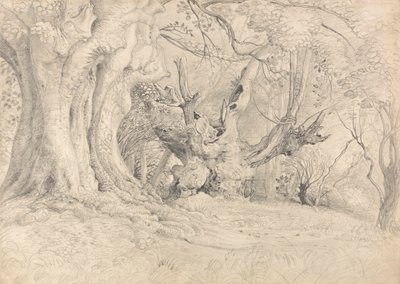 Árboles centenarios, Parque Lullingstone de Samuel Palmer