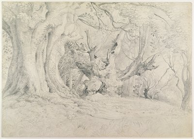 Árboles antiguos, Parque Lullingstone, 1828 de Samuel Palmer